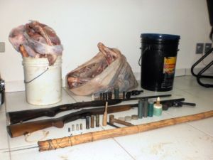 Armas e carne dos animais abatidos