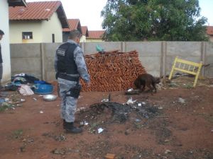 Policia cumprindo mandado de busca