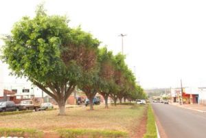  Avenida Jos Ferreira da Costa