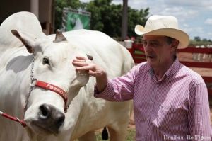 Rubens Catenacci  destaque na categoria protena animal.