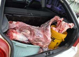 Veiculo apreendido com a carne 