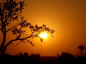 Pr-do-sol em Mato Grosso do Sul