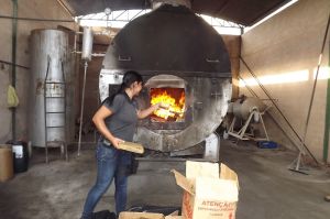 Incinerao de drogas