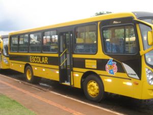 nibus com 44 lugares